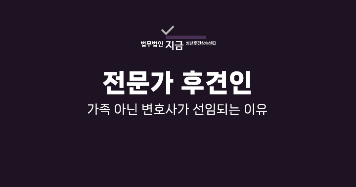 전문가 후견인